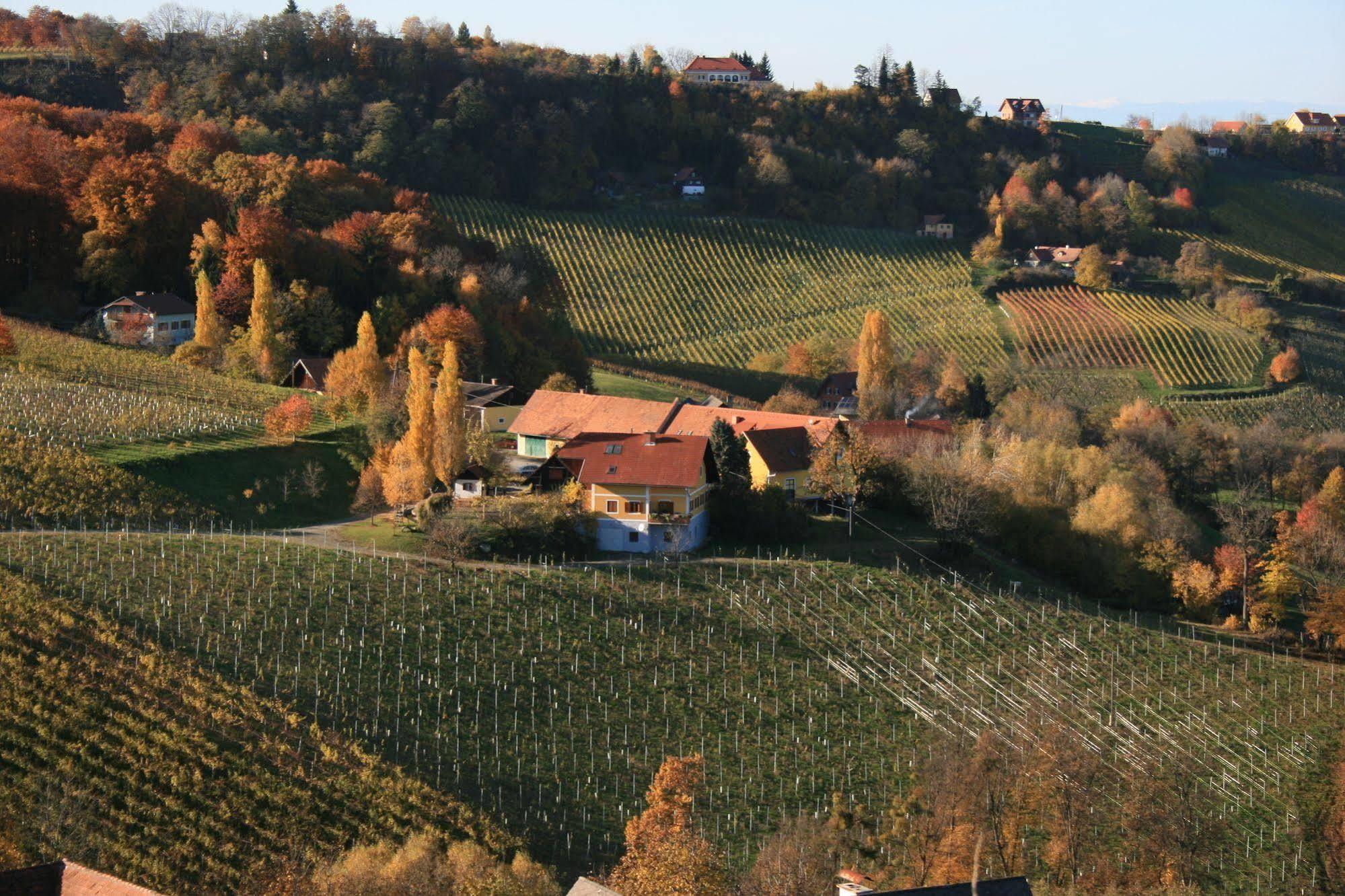 Weingut Primus Suedsteiermark Spielfeld Buitenkant foto
