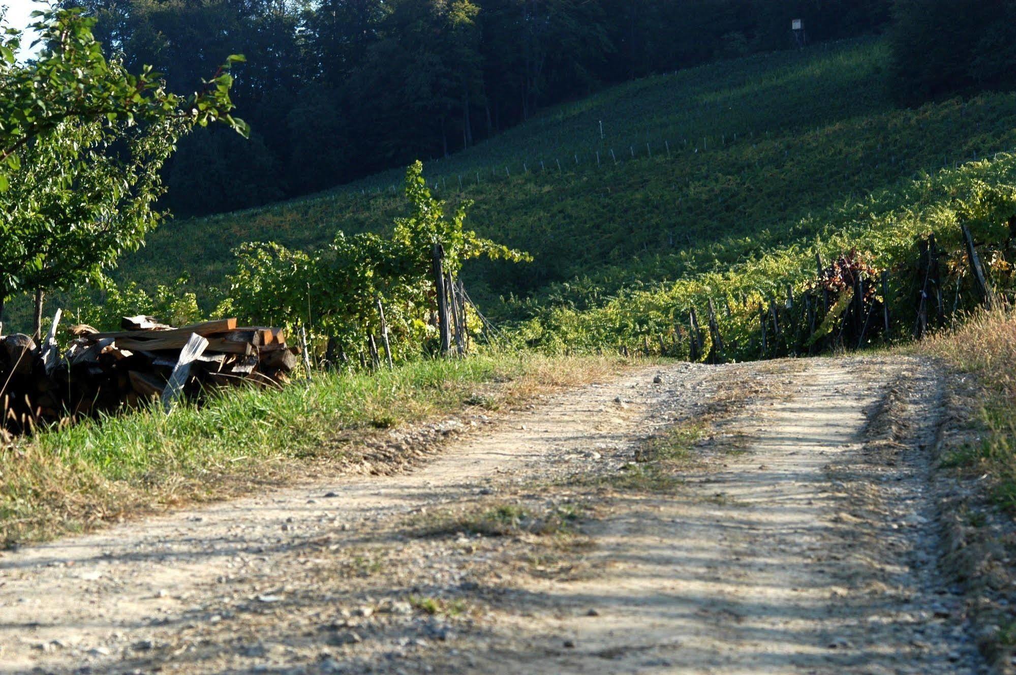 Weingut Primus Suedsteiermark Spielfeld Buitenkant foto