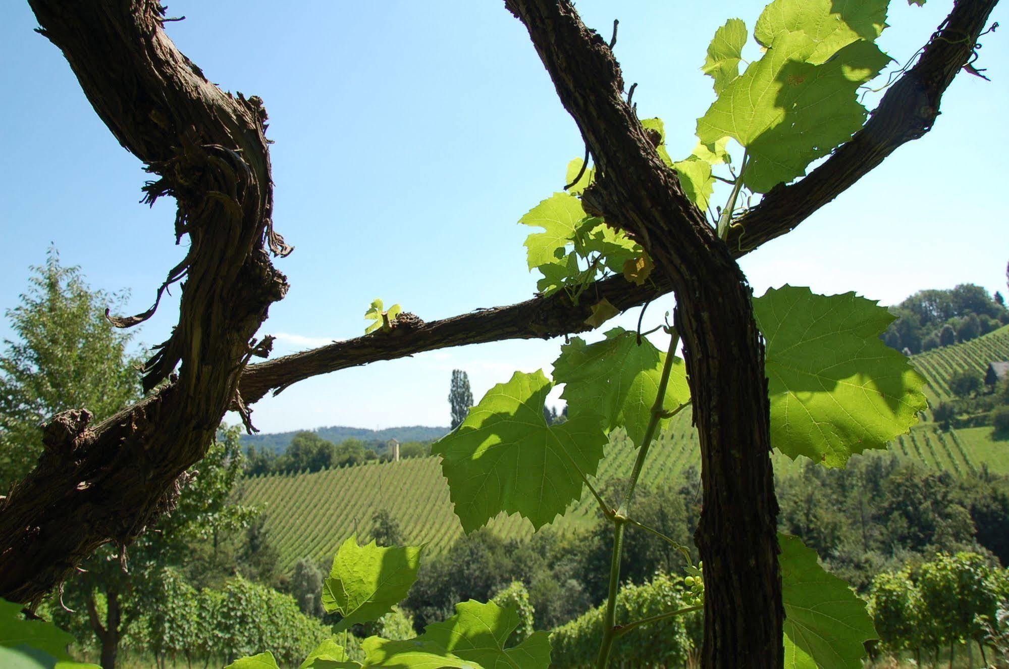 Weingut Primus Suedsteiermark Spielfeld Buitenkant foto