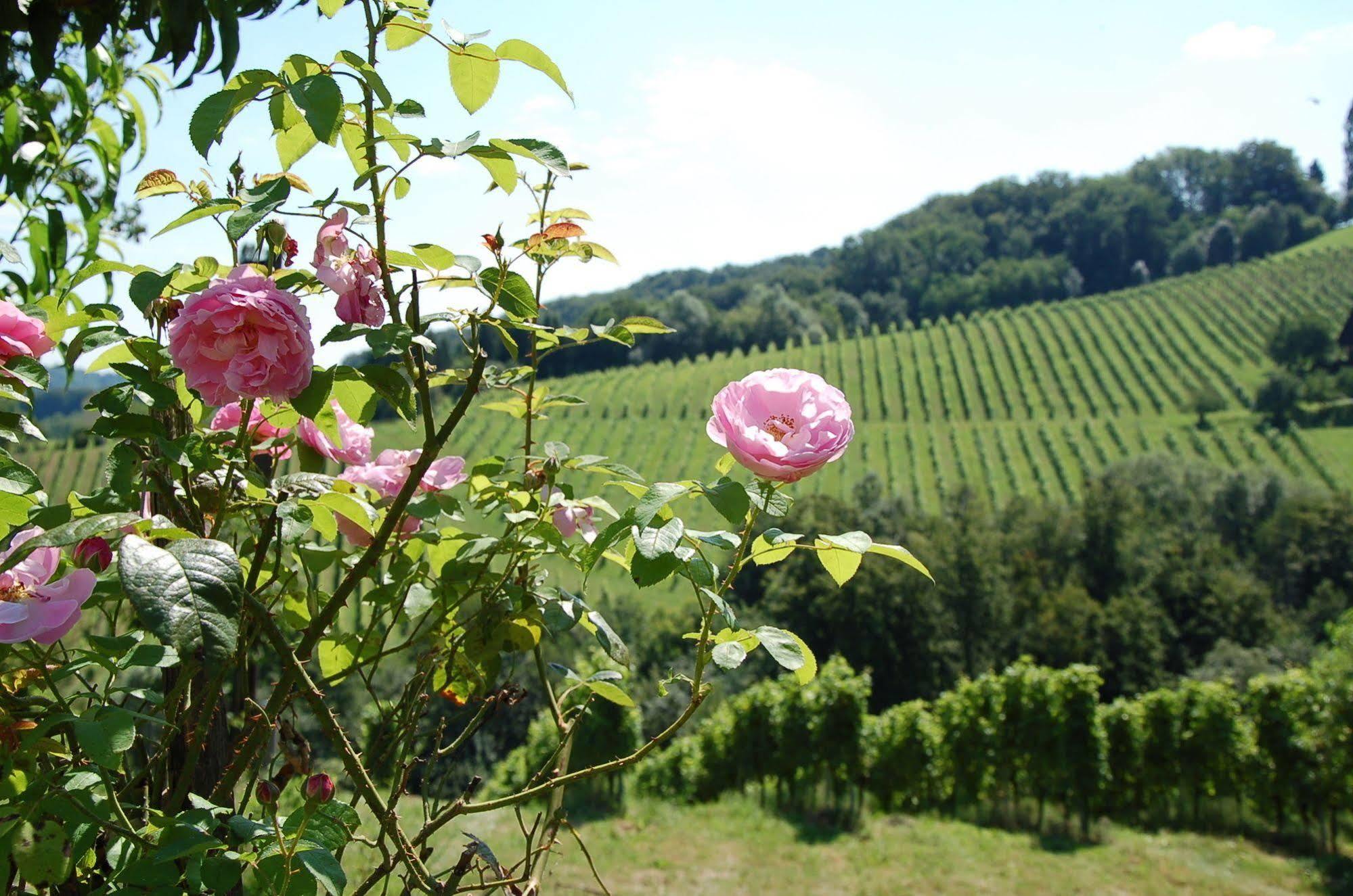 Weingut Primus Suedsteiermark Spielfeld Buitenkant foto